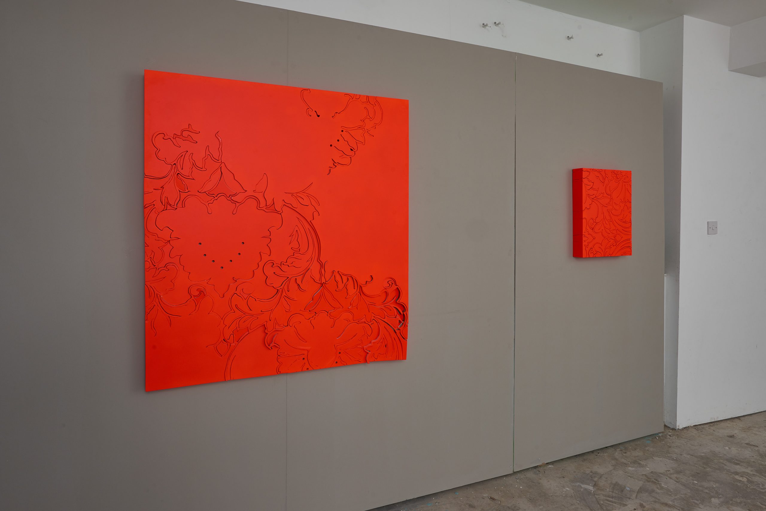 redacanthus1-2.maillard